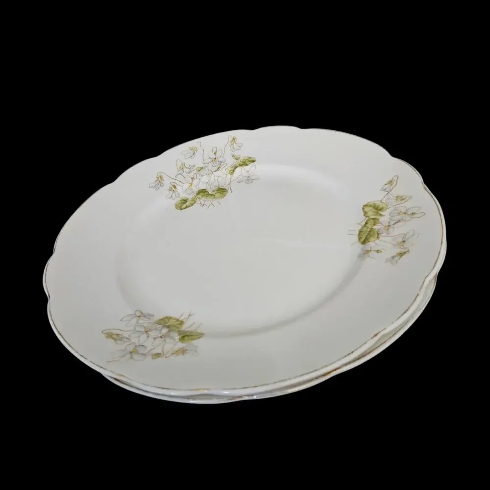 John Maddock & Sons Royal Vitreous England Floral Dinner Plates Set of 2